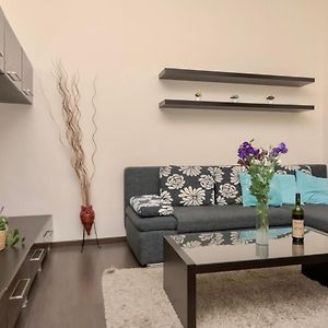 Appartement met een Slaapkamer
